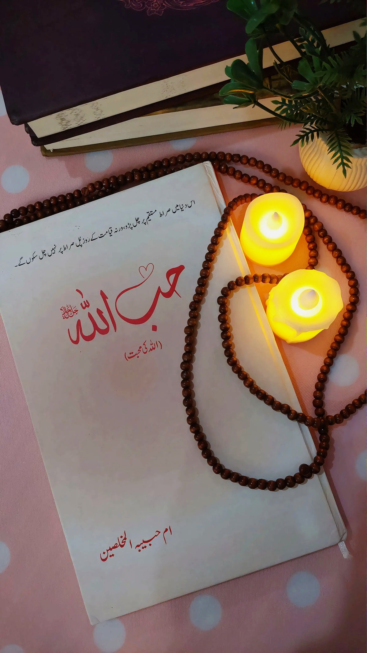 HibUllah / حب اللہ