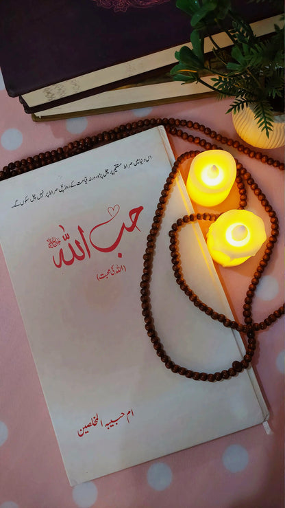 HibUllah / حب اللہ